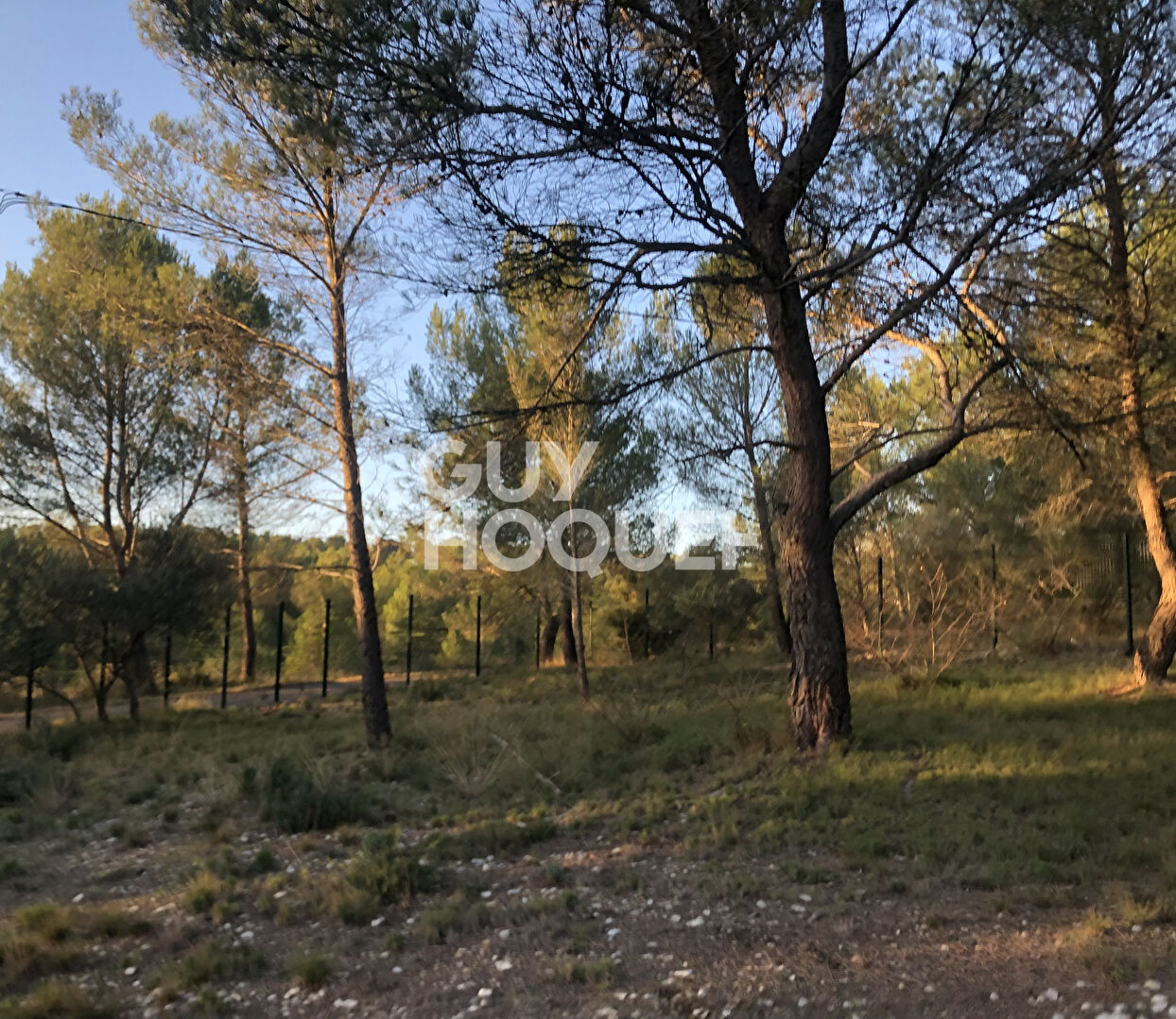 Maison Tarascon dans la garrigue sur 3205 m²