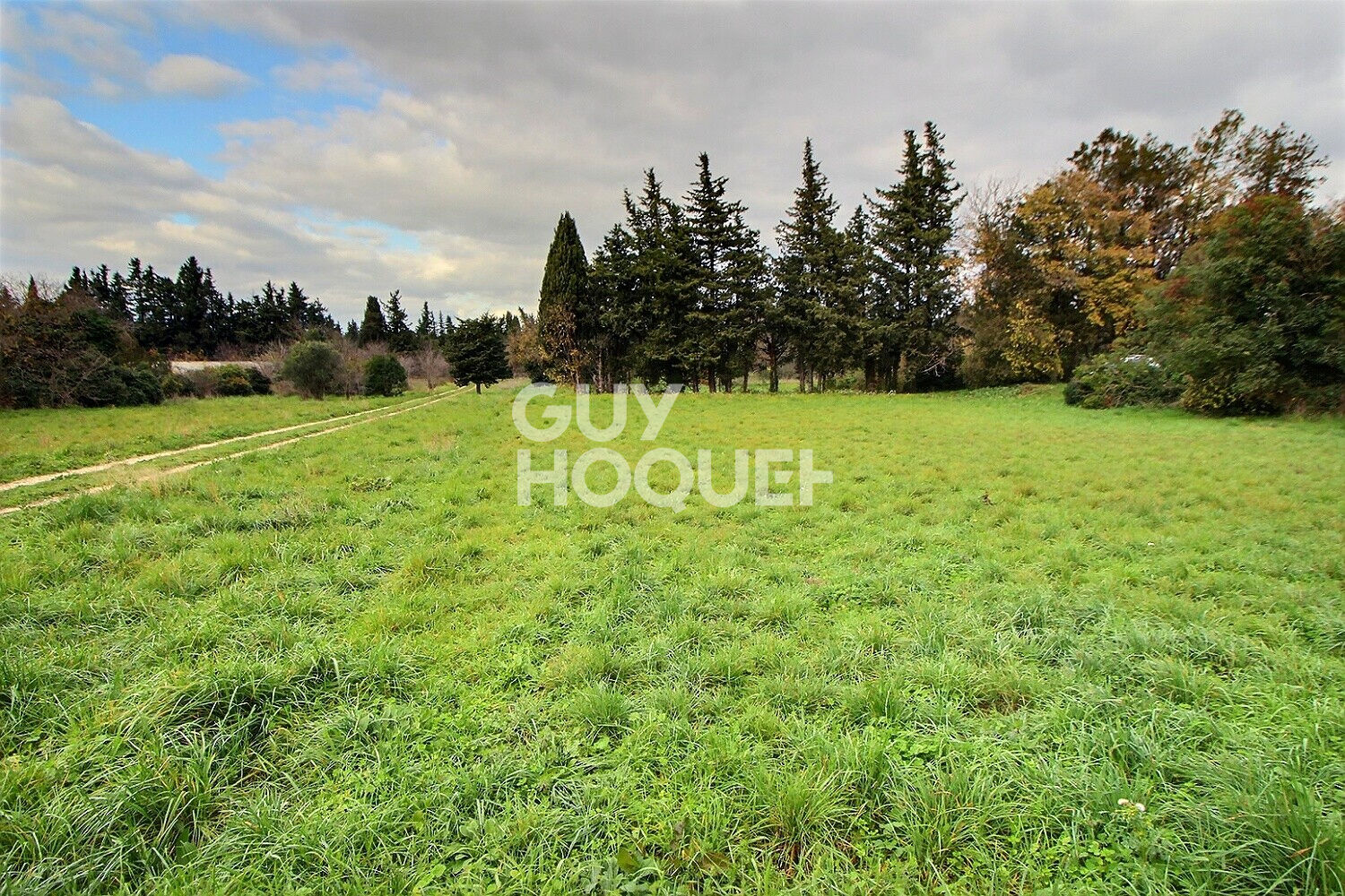 Villa avec Vue Alpilles .Saint-Étienne-du-Grès 310 m2