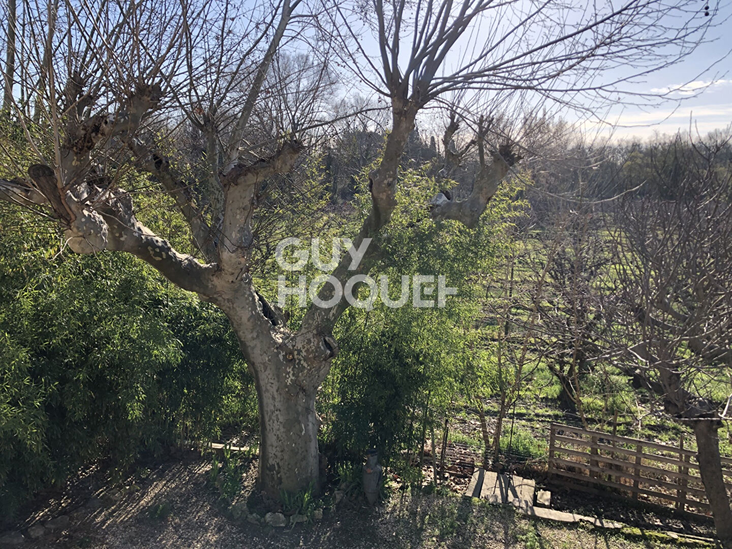 Mas Mitoyen sur une parcelle de 1275 m