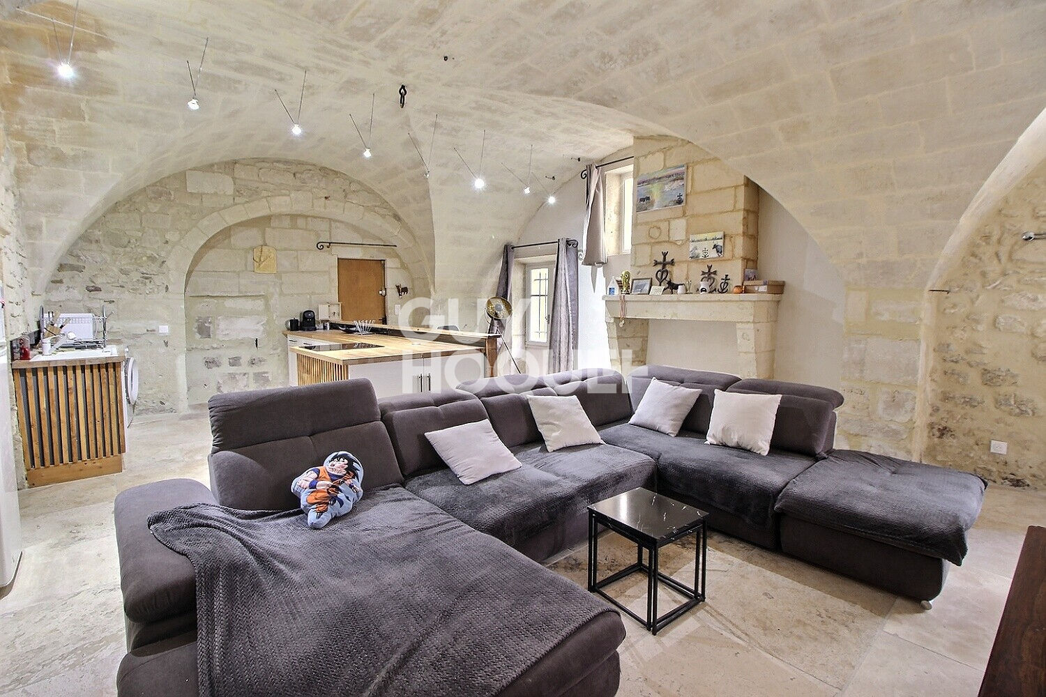 Superbe Loft avec garage Atelier