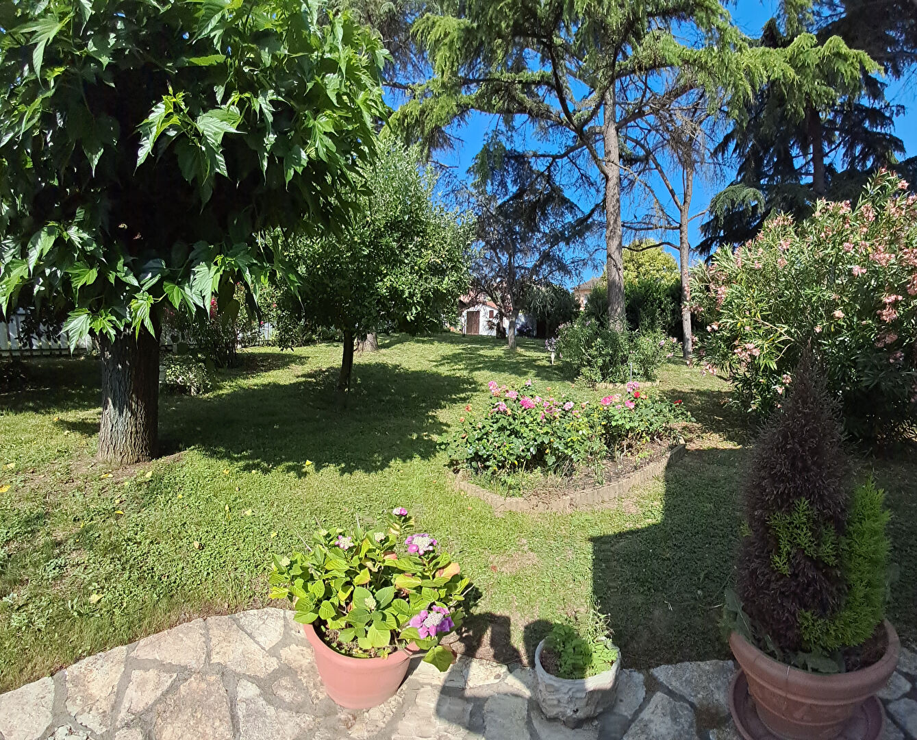 Maison  T4-5 Saint -Jean  103m² sur grand terrain arboré