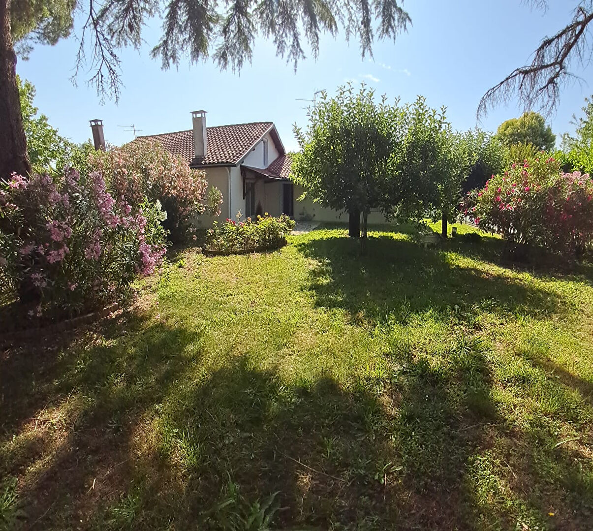 Maison  T4-5 Saint -Jean  103m² sur grand terrain arboré