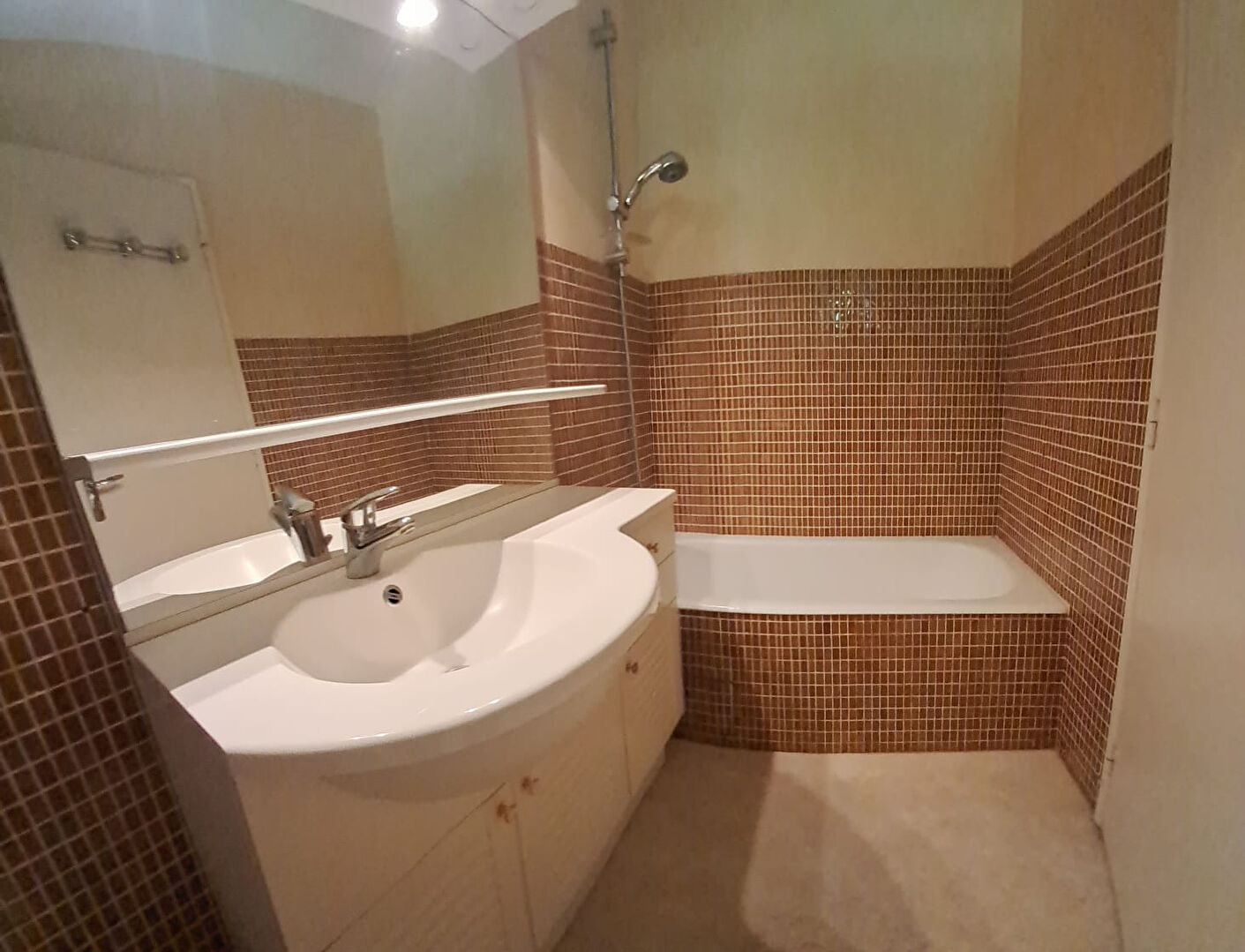 Maison  T4-5 Saint -Jean  103m² sur grand terrain arboré