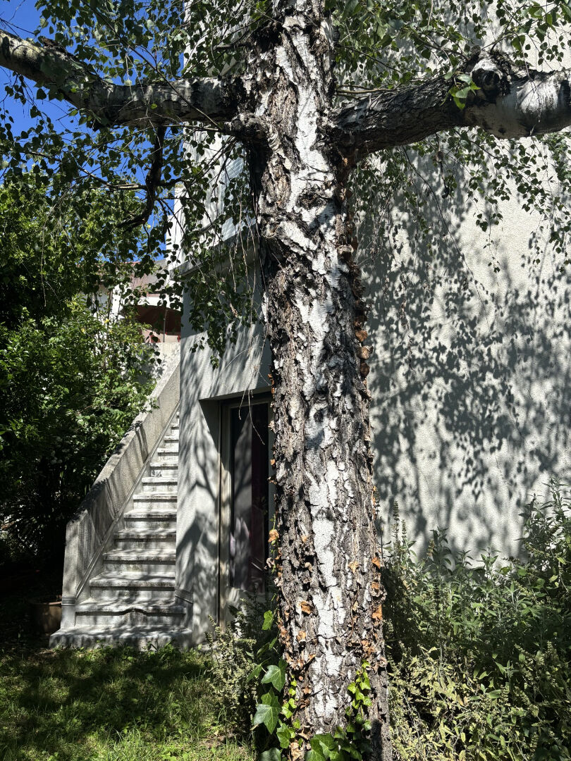 SECTEUR  RESIDENTIEL PRADAL /NOULET MAISON TYPE 6/7 AVEC GARAGE , DEPENDANCES ET JARDIN ARBORE