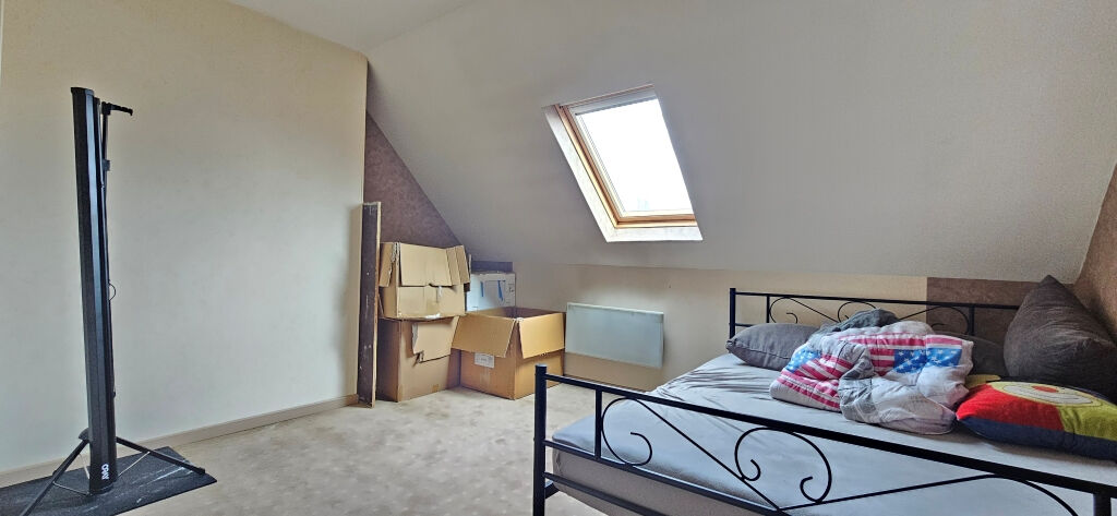 TOURCOING CHENE HOUPLINE