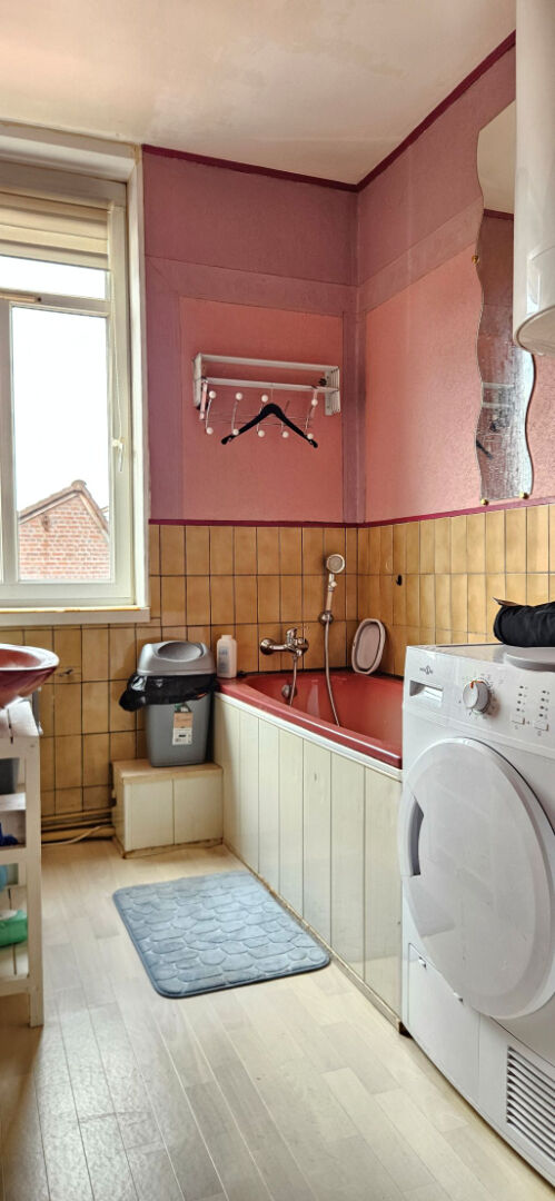 TOURCOING CHENE HOUPLINE