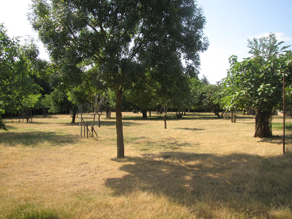 SAINT LYS