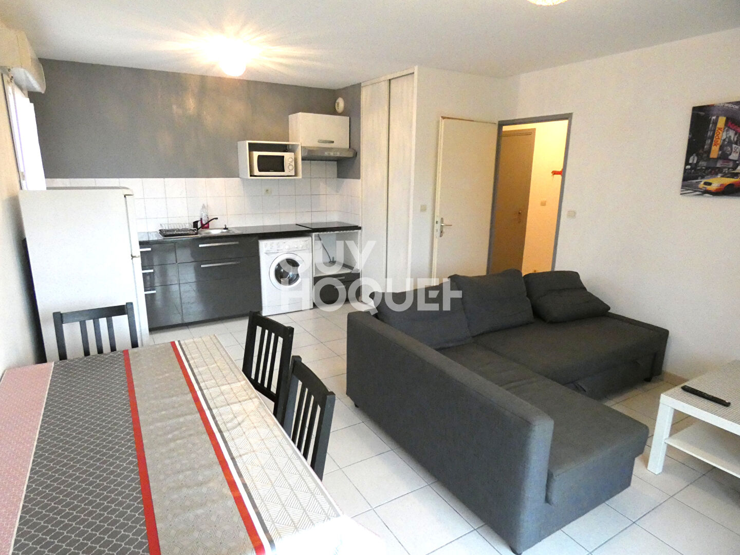 APPARTEMENT T2 MEUBLE FROUZINS