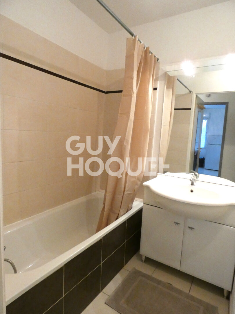 APPARTEMENT T2 MEUBLE FROUZINS