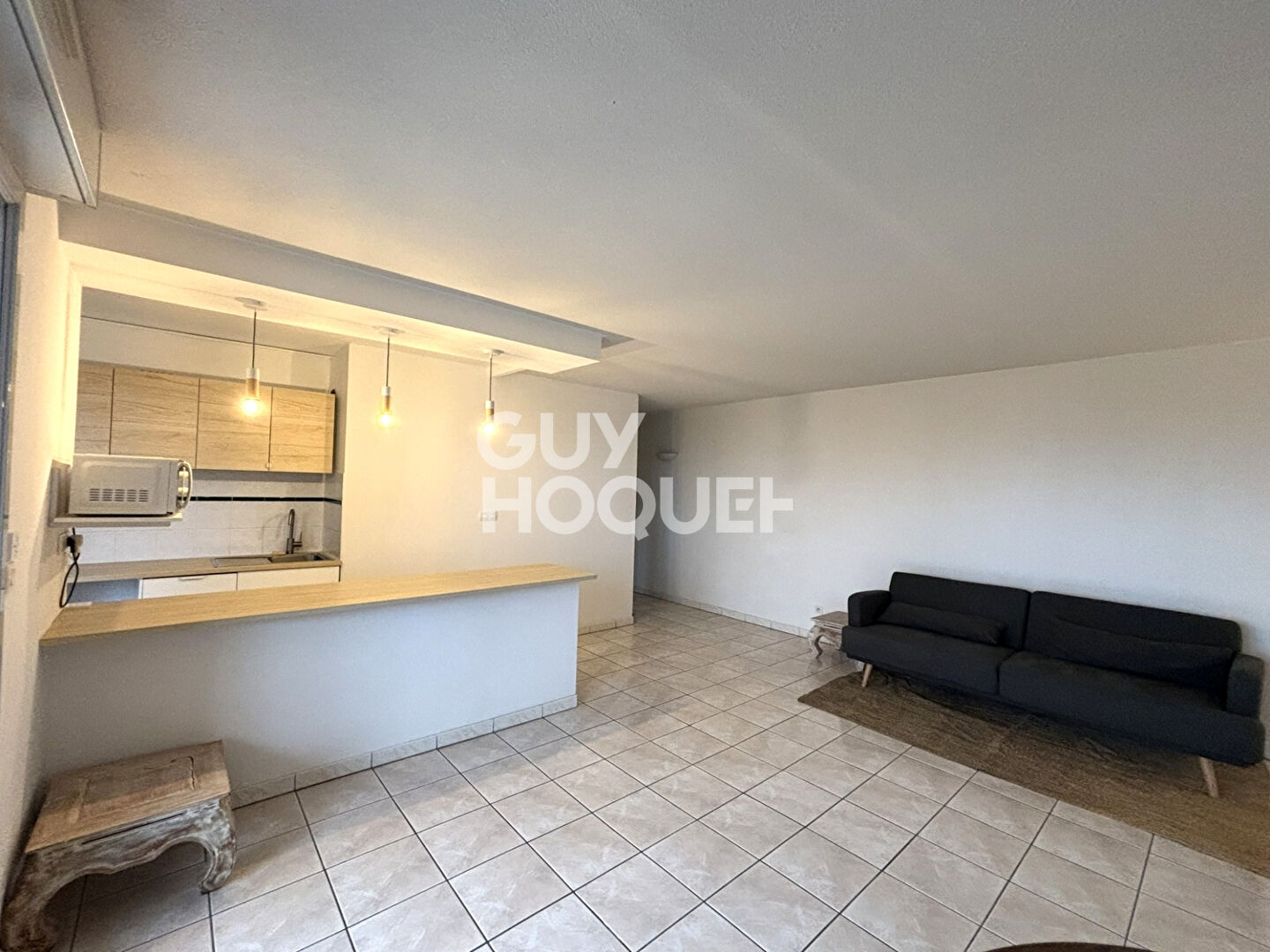 Appartement Toulouse 3 pièce(s) MEUBLE 66.52 m2