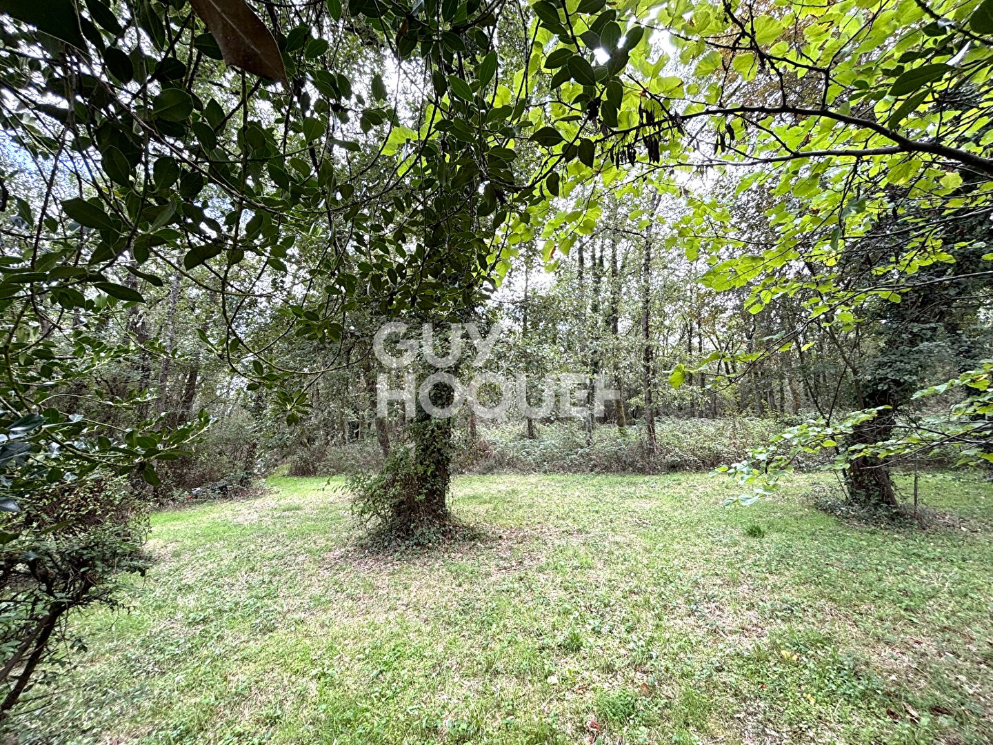 UN AIR DE CAMPAGNE EN VILLE - TOURNEFEUILLE