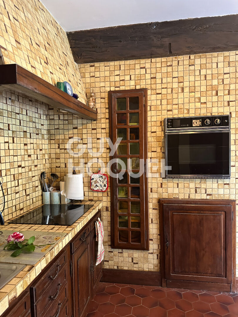 Demeure de prestige - Les Hauts d'Anjou 8 pièce(s) 230 m2