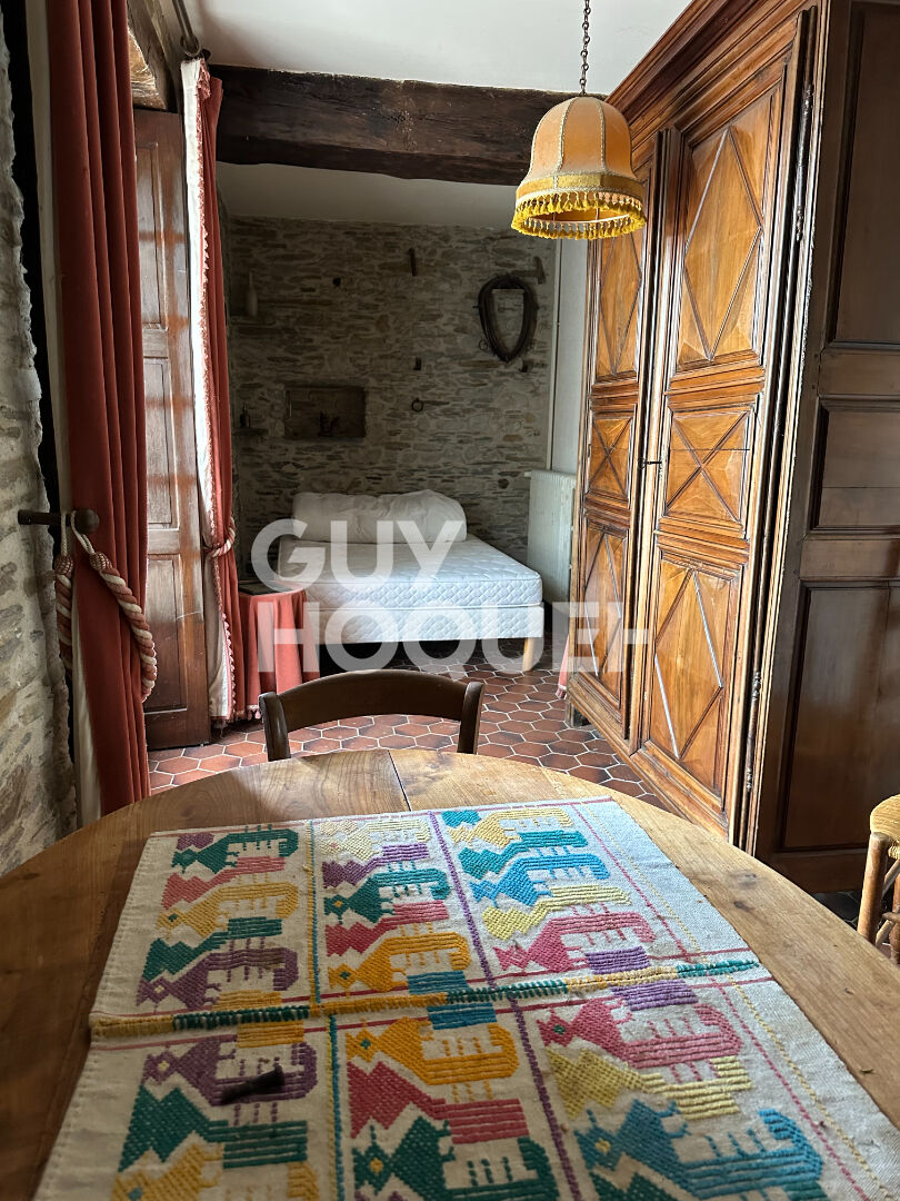 Demeure de prestige - Les Hauts d'Anjou 8 pièce(s) 230 m2