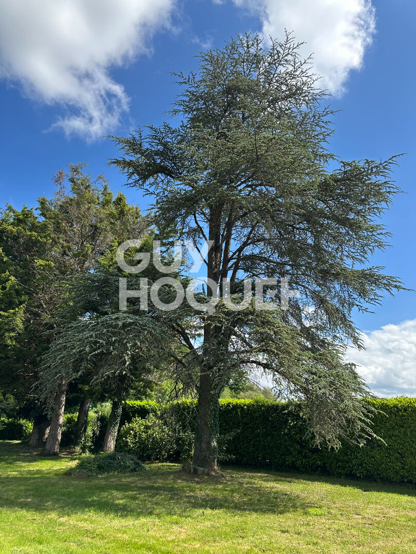 Demeure de prestige - Les Hauts d'Anjou 8 pièce(s) 230 m2