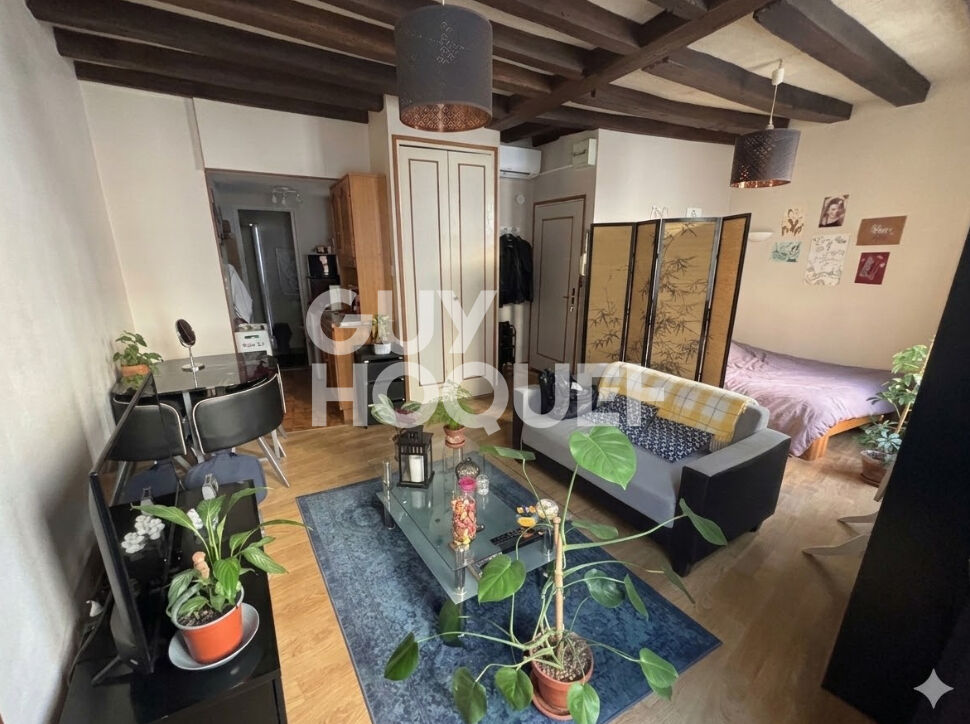 STUDIO - VIEUX TOURS - 26m²