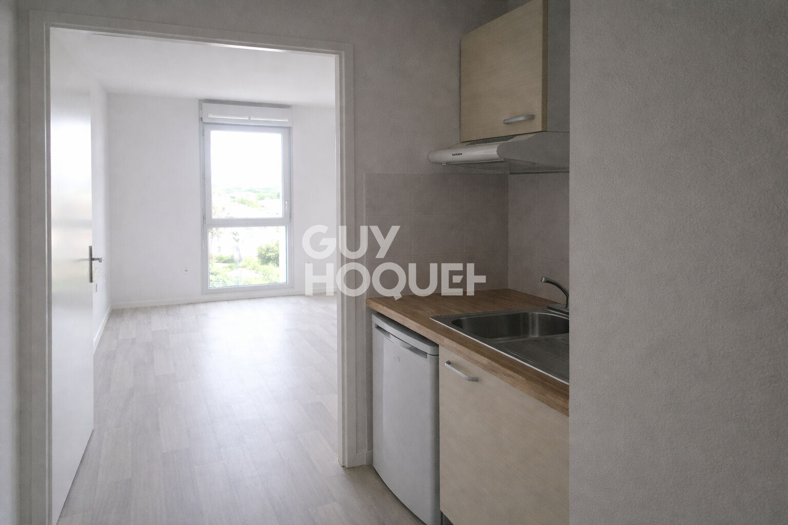 STUDIO - PROCHE FACS DES DEUX LIONS