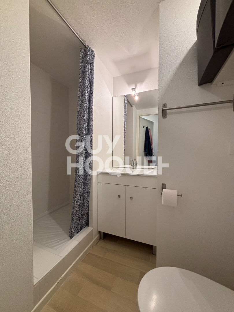 STUDIO - PROCHE FACS DES DEUX LIONS