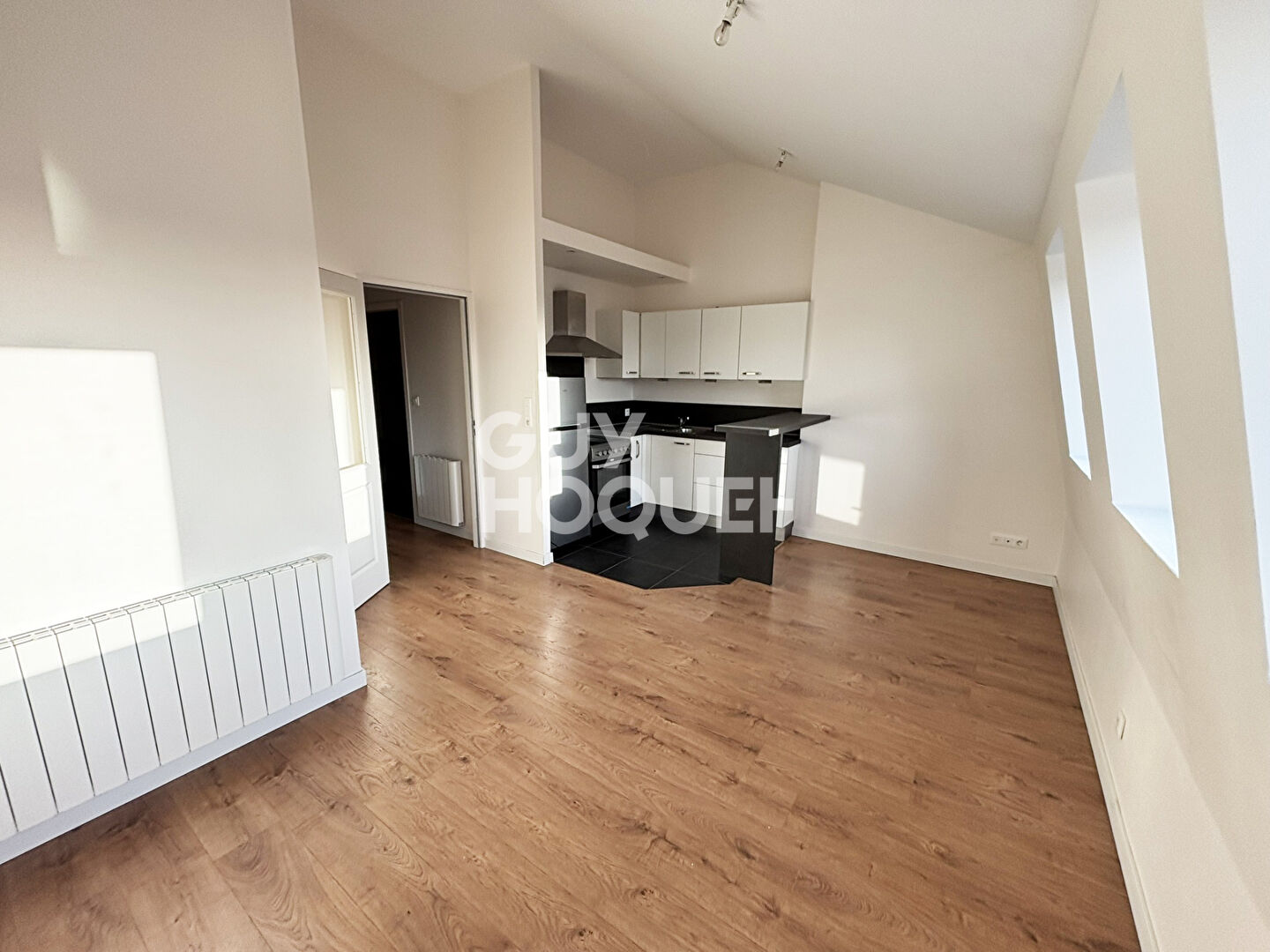 Appartement 2 pièces à louer à Tours - Avenue Grammont