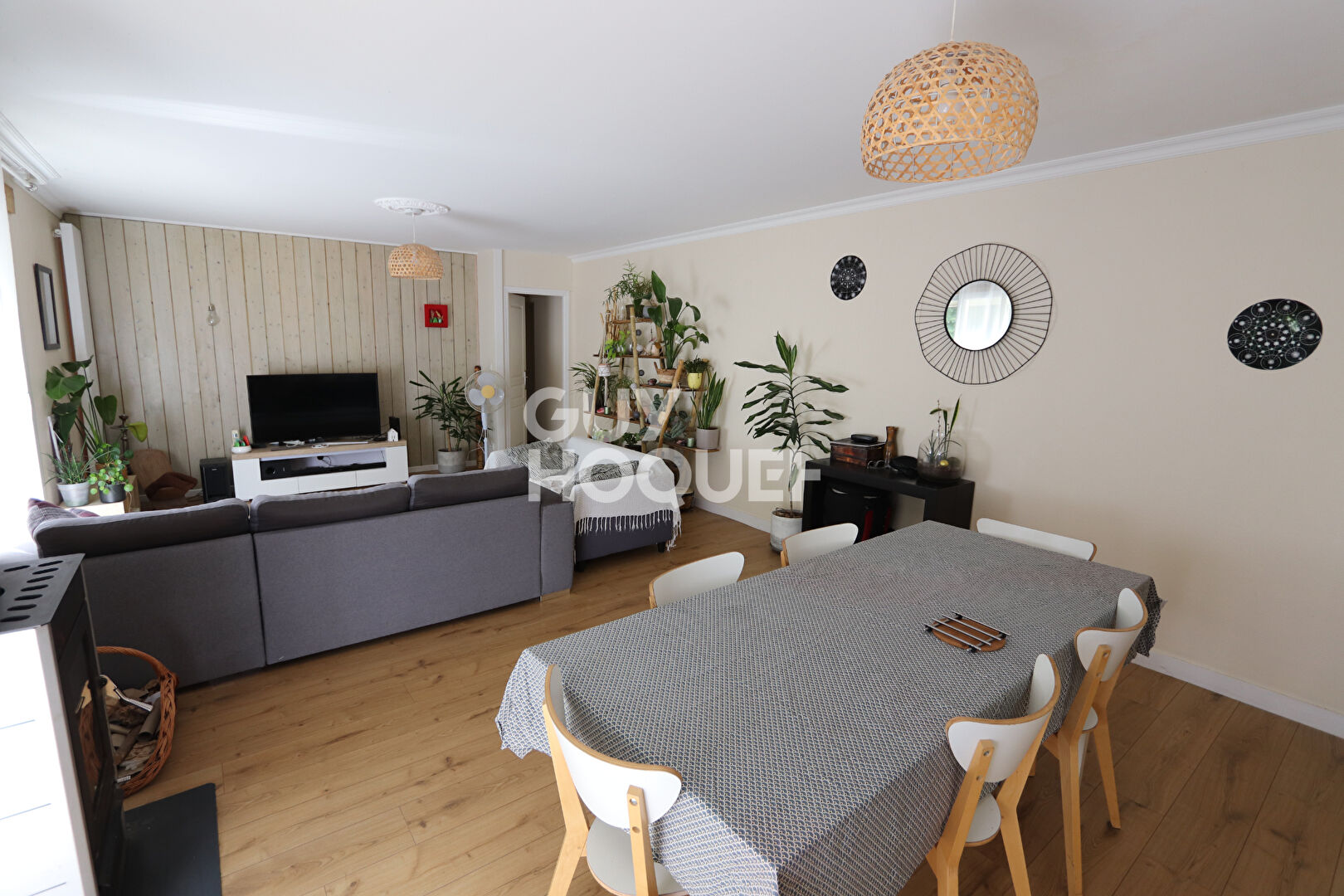 Maison Ancienne et Ensemble Immobilier sur ST GENOUPH