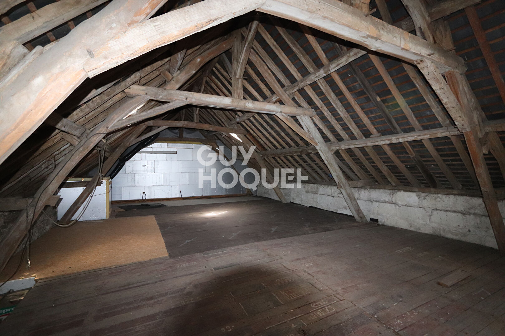 Maison Ancienne et Ensemble Immobilier sur ST GENOUPH