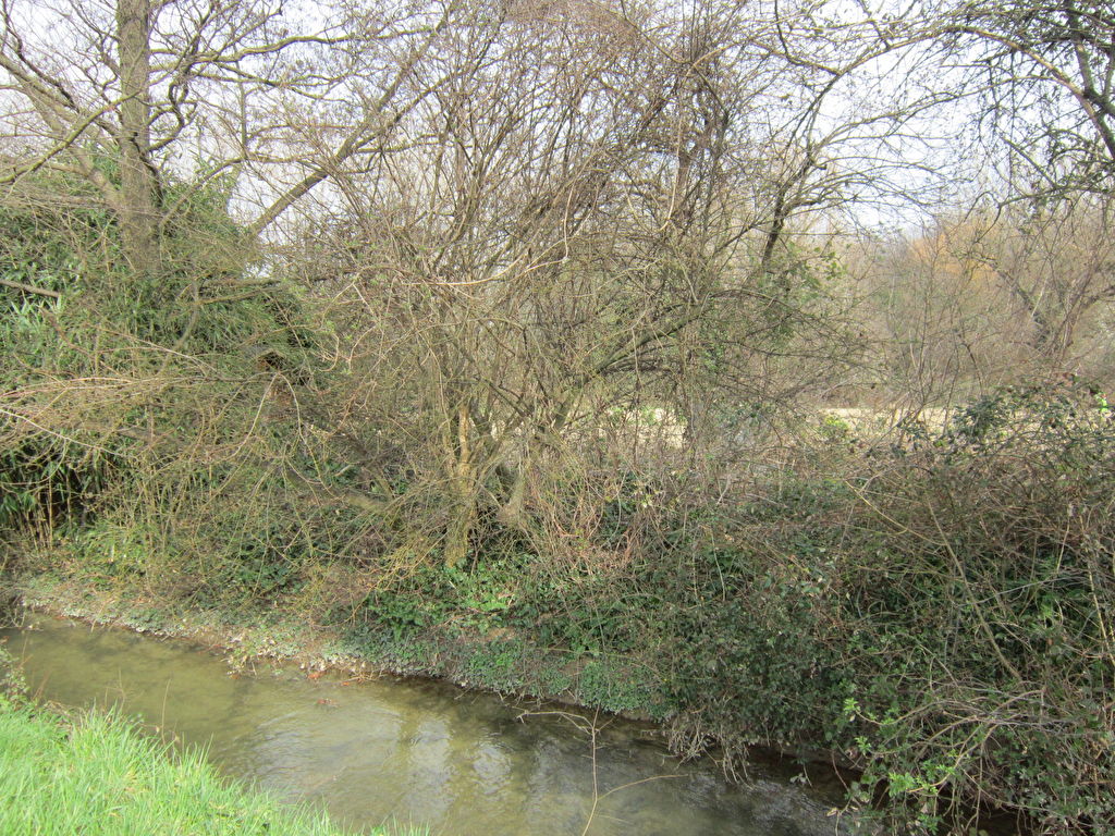 BEAUVALLON