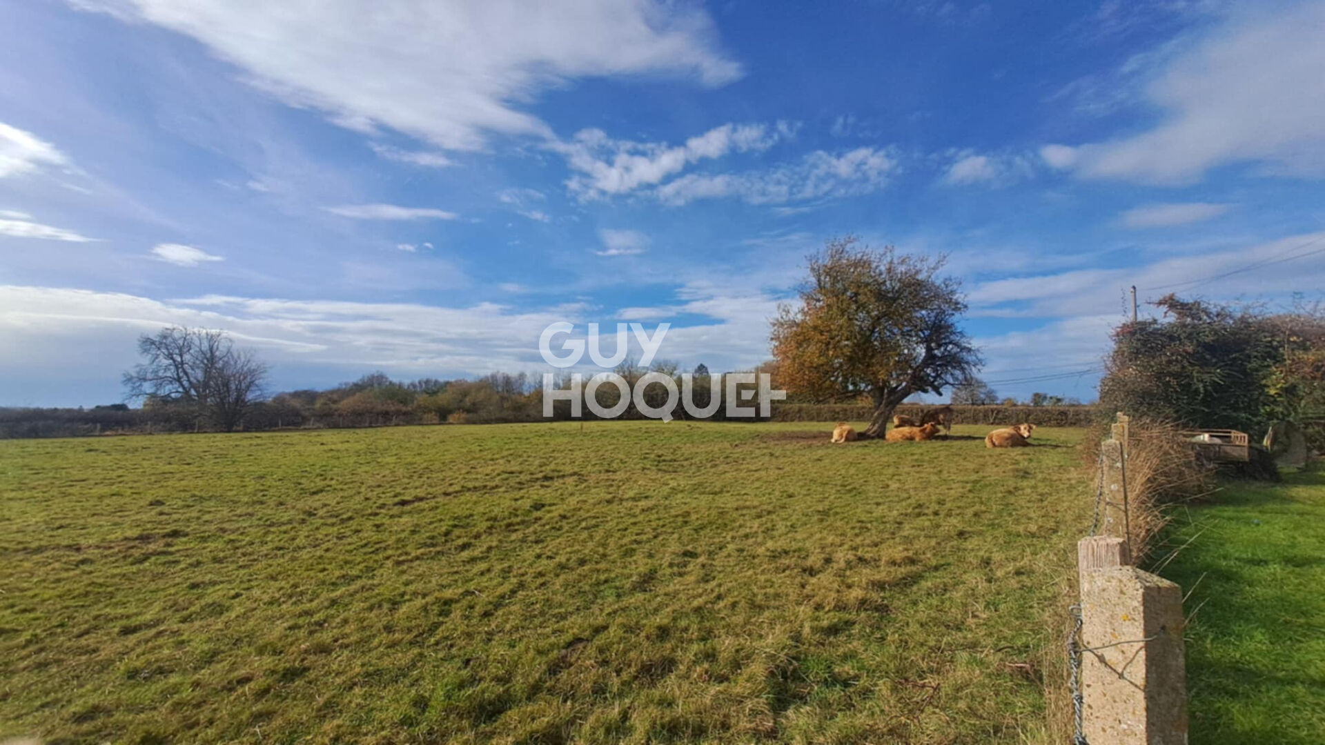 Proche L'AIGLE - Maison de Pays avec dépendances à 150 m de la 1ère habitation.