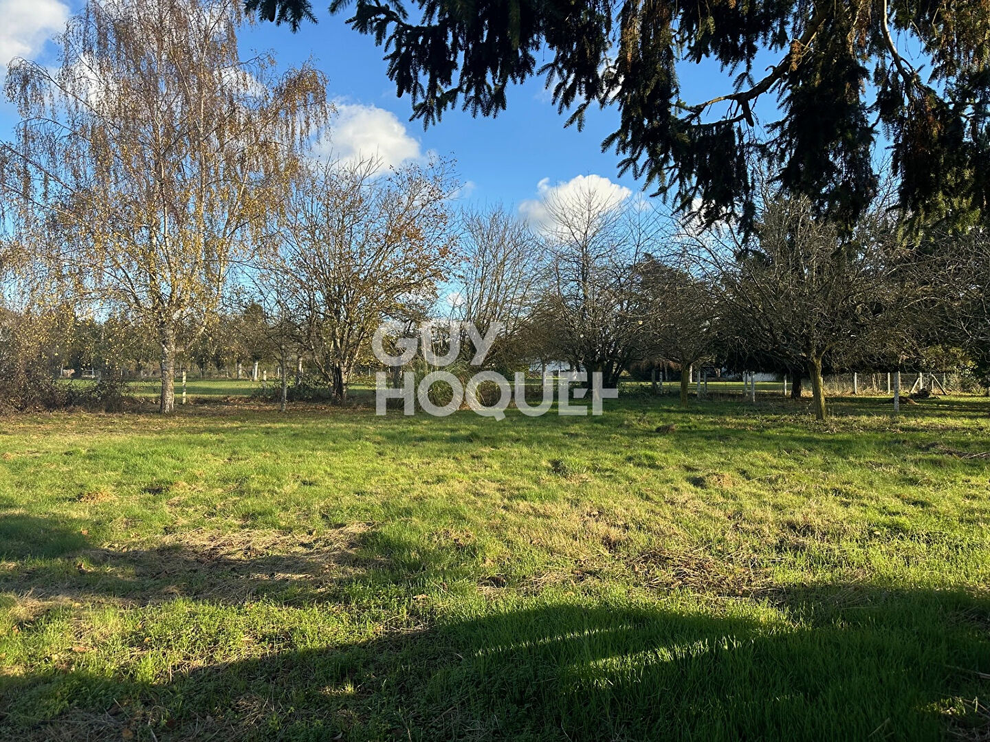 Maison Balines 5 pièce(s) 100 m2