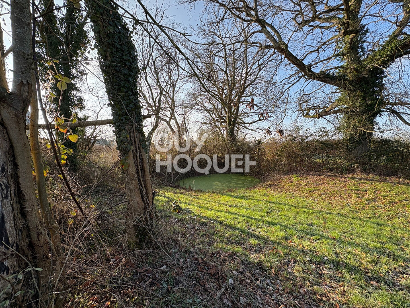 Maison Bourth 3 pièce(s)