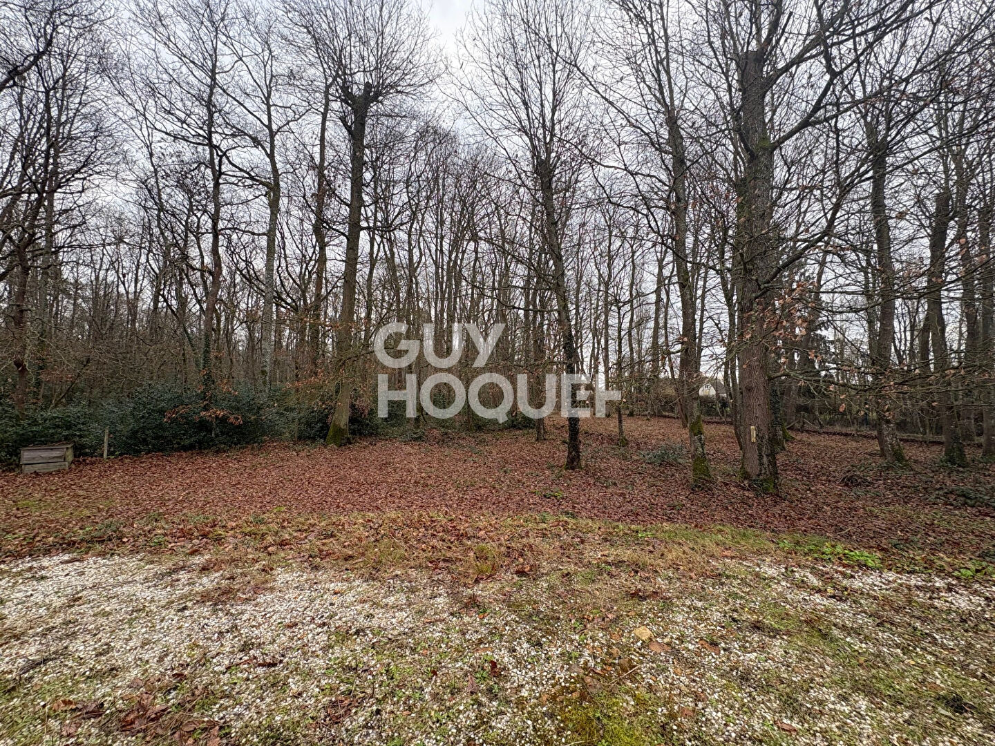 Maison Pullay 7 pièce(s) 185 m2