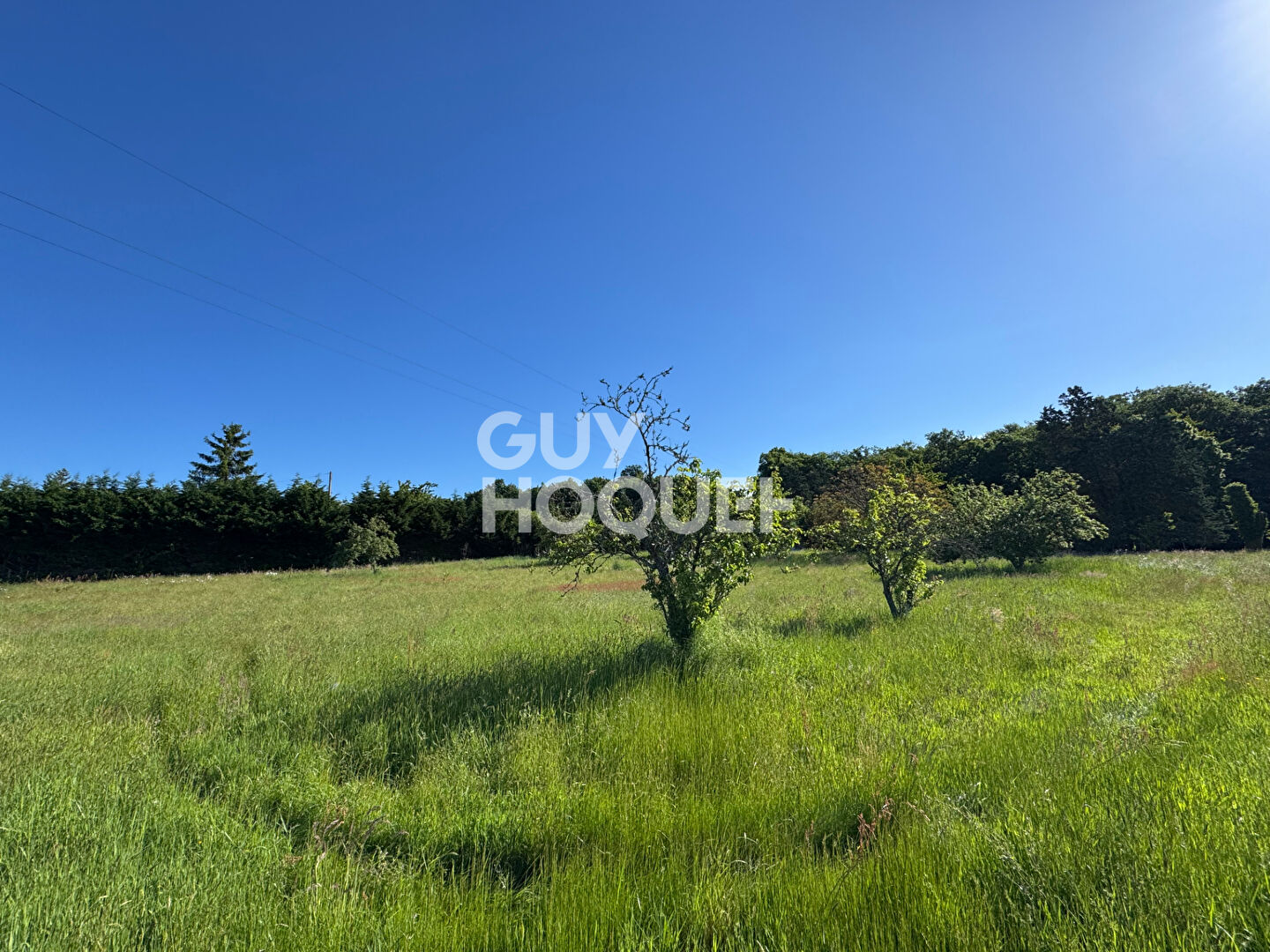 Maison avec grand terrain - BOURTH