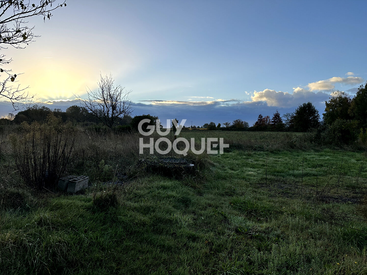 Maison Haute Goulaine 4 pièce(s) 54 m2