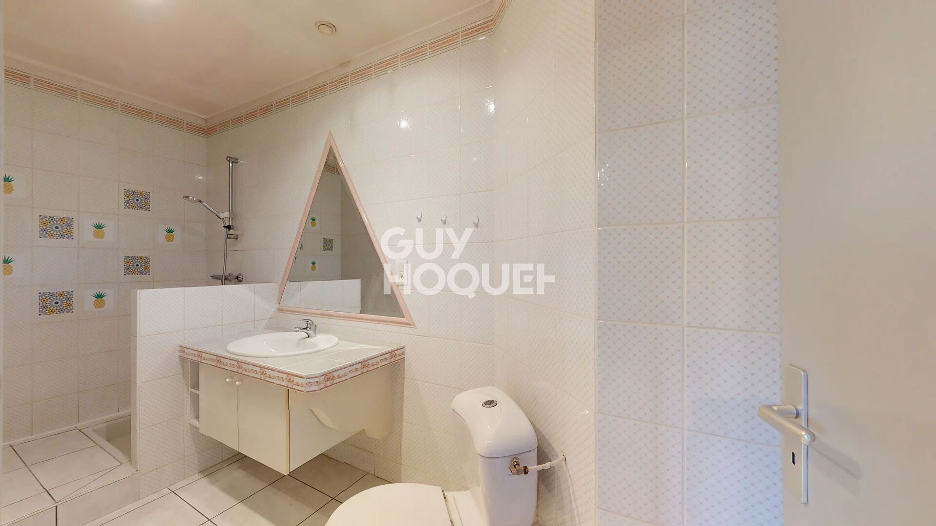 Superbe appartement de 191 m² au coeur de Vesoul.