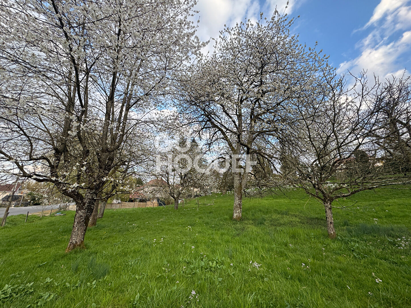 Terrain constructible Burgille