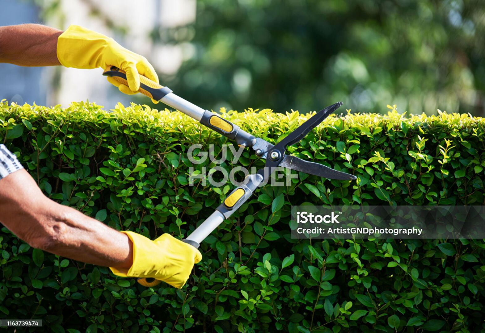 Fonds de commerce Espaces verts