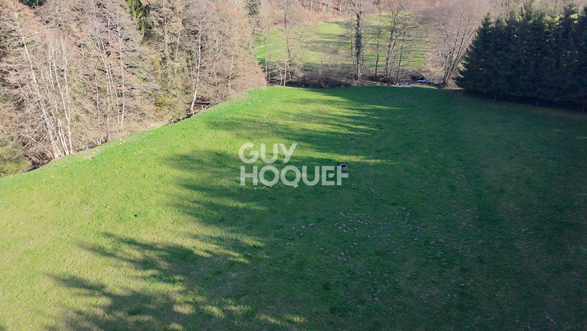 Etang sur terrain de 1,39 ha à Feldbach