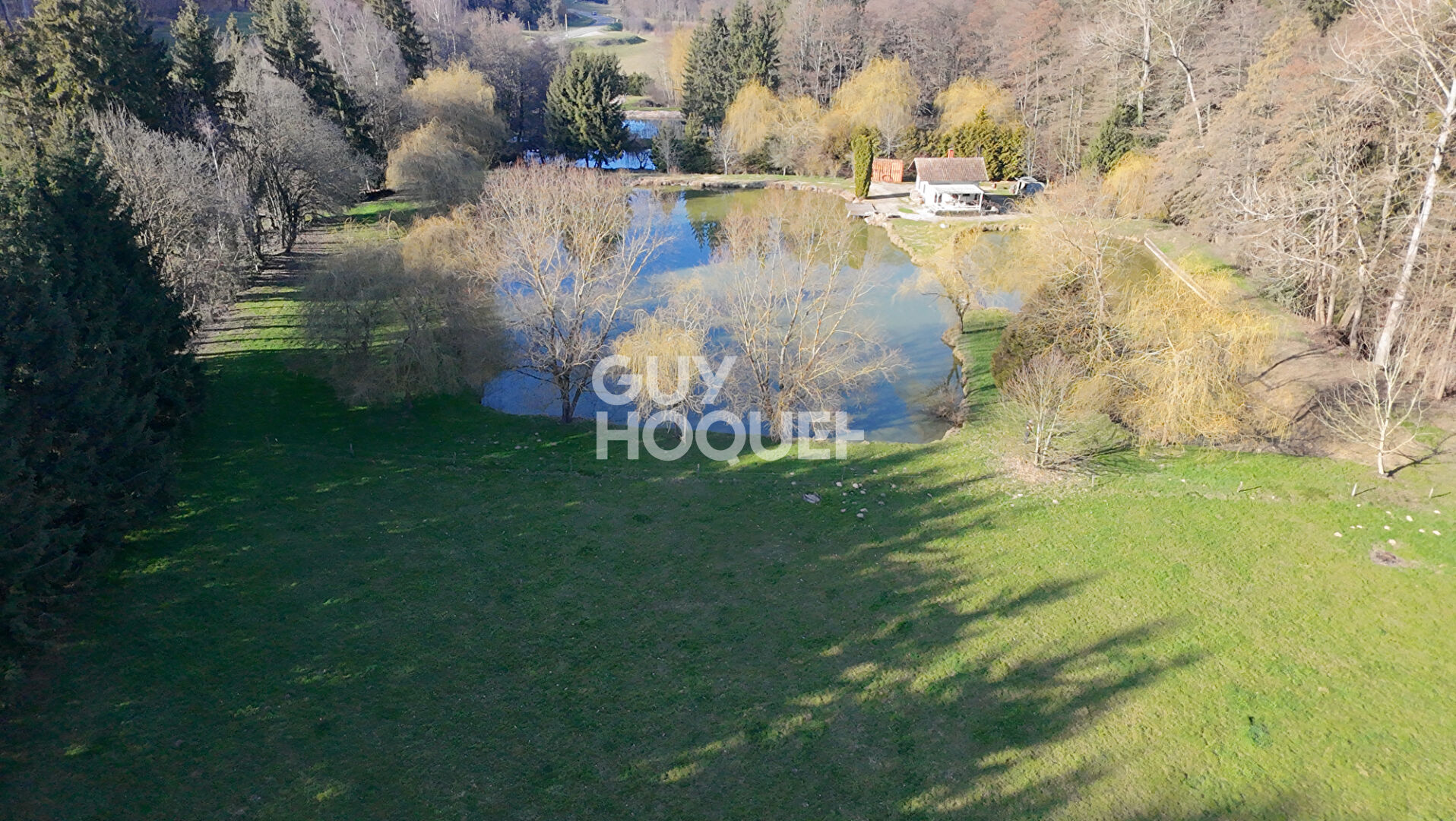 Etang sur terrain de 1,39 ha à Feldbach