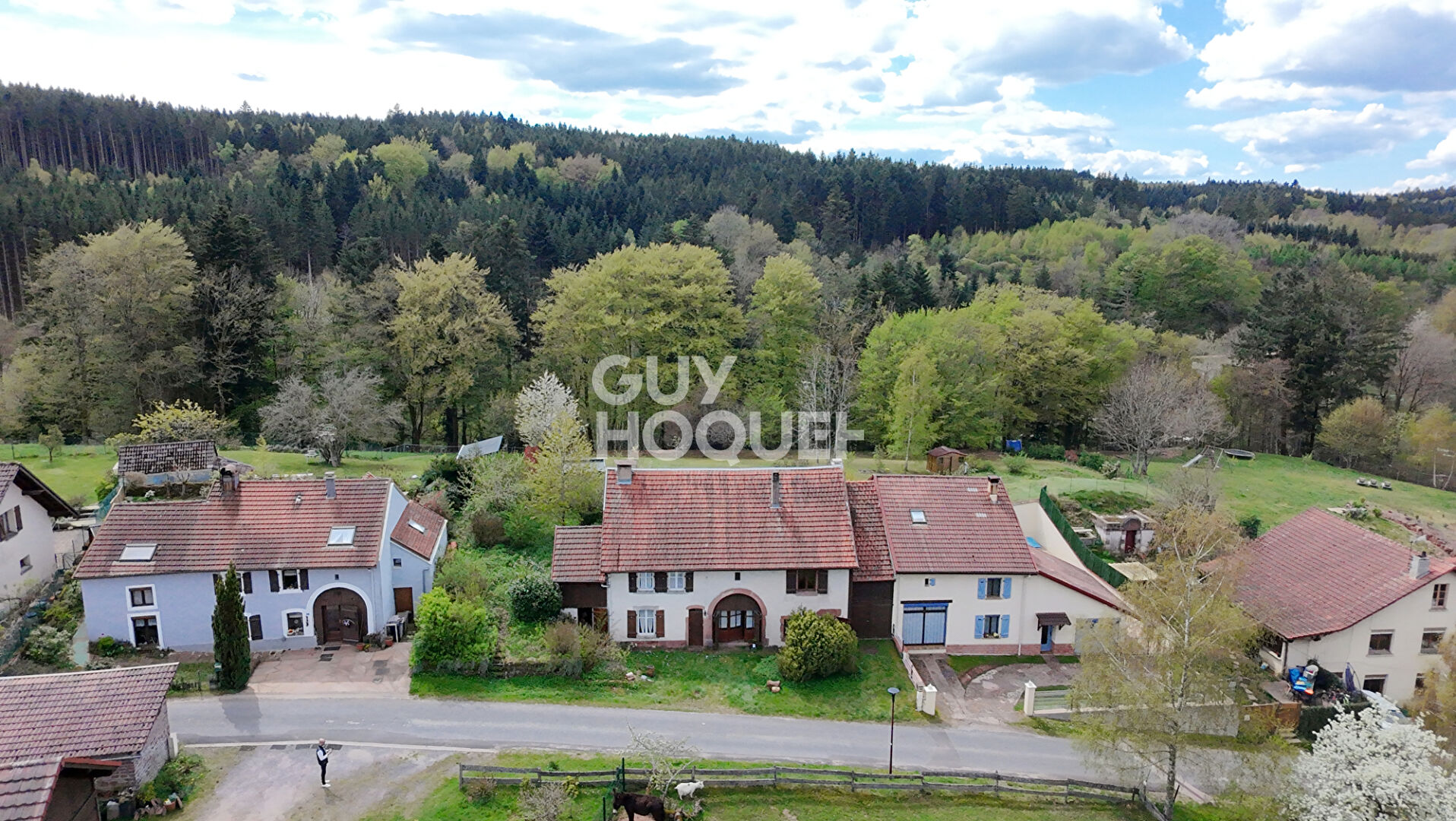 Maison Belval 10 pièces 217 m2