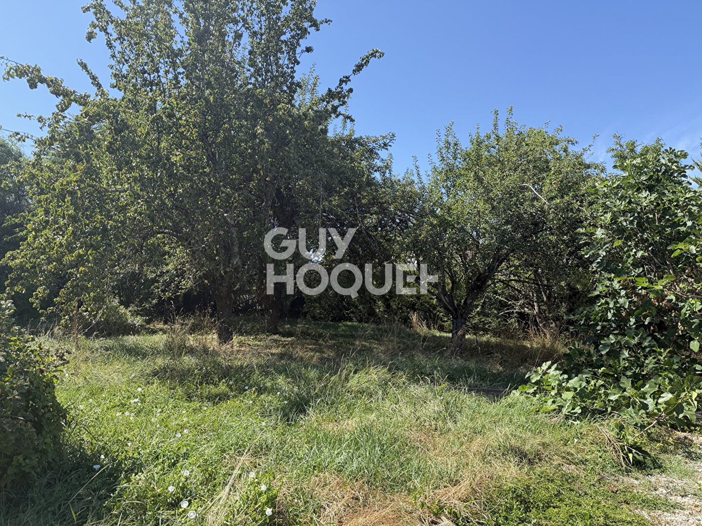 Terrain Navenne 1316 m2