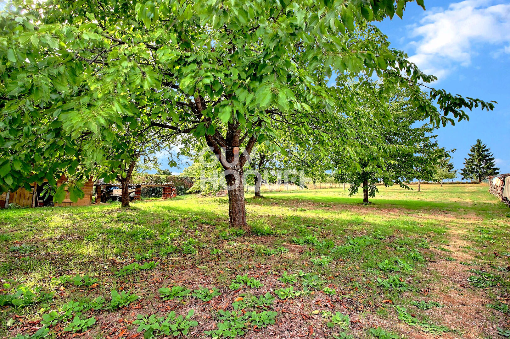 MARNAY Maison 128 m² avec terrain arboré de 3 610 m²