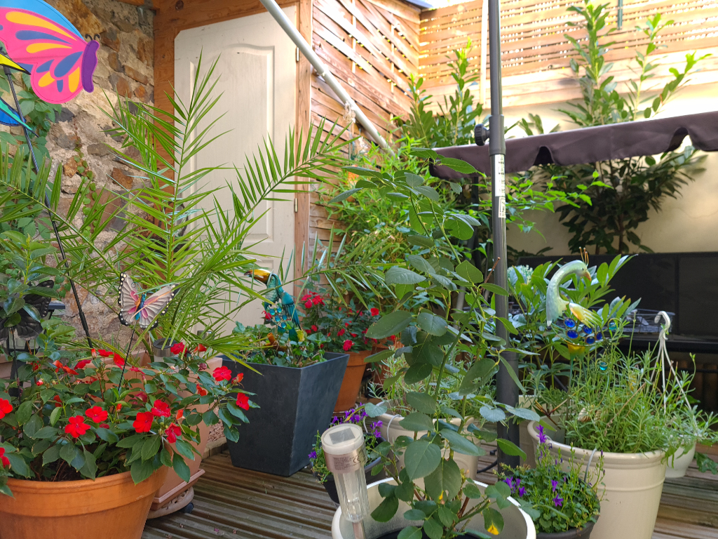 Maison quartier République/Thermal