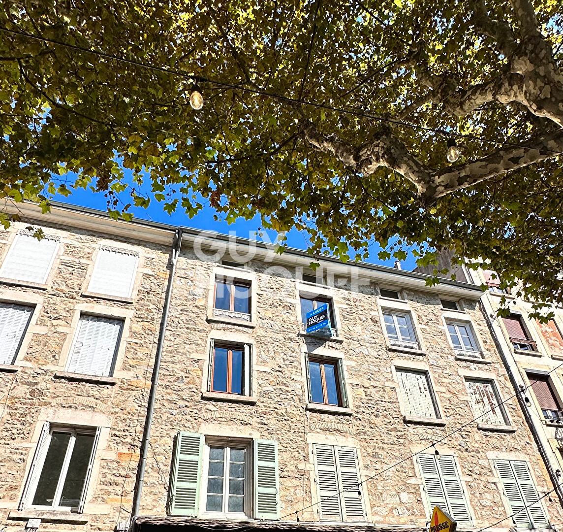 A LOUER Appartement 3 pièce(s) 84 m2 DUPLEX 38200 VIENNE CENTRE