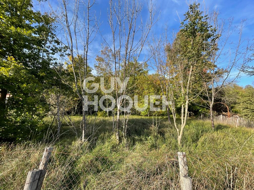 Terrain Cour Et Buis 545 m2
