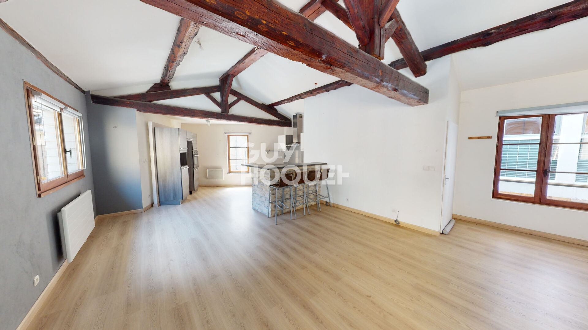 Exlusivité / Grand Appartement T5 au centre-ville de Vienne