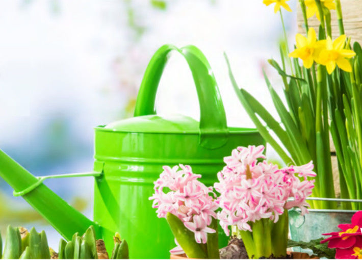 3ème SALON DU JARDIN