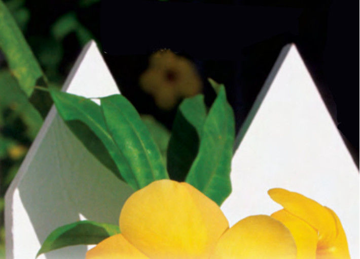 A VOS MARQUES... PRÊTS JARDINEZ !