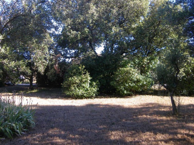 Villeneuve-Les-Avignon