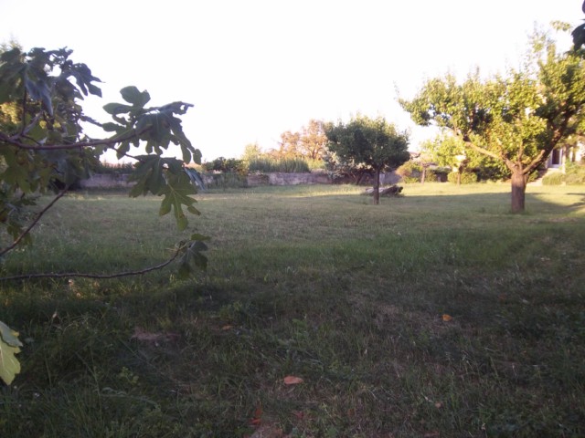 SAINT VICTOR LA COSTE