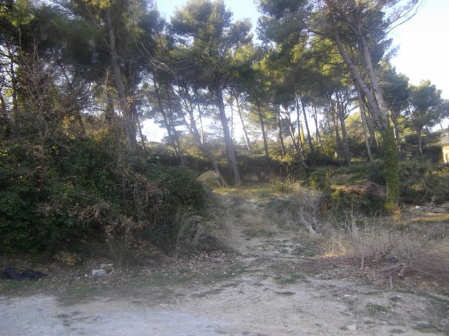 VILLENEUVE LES AVIGNON