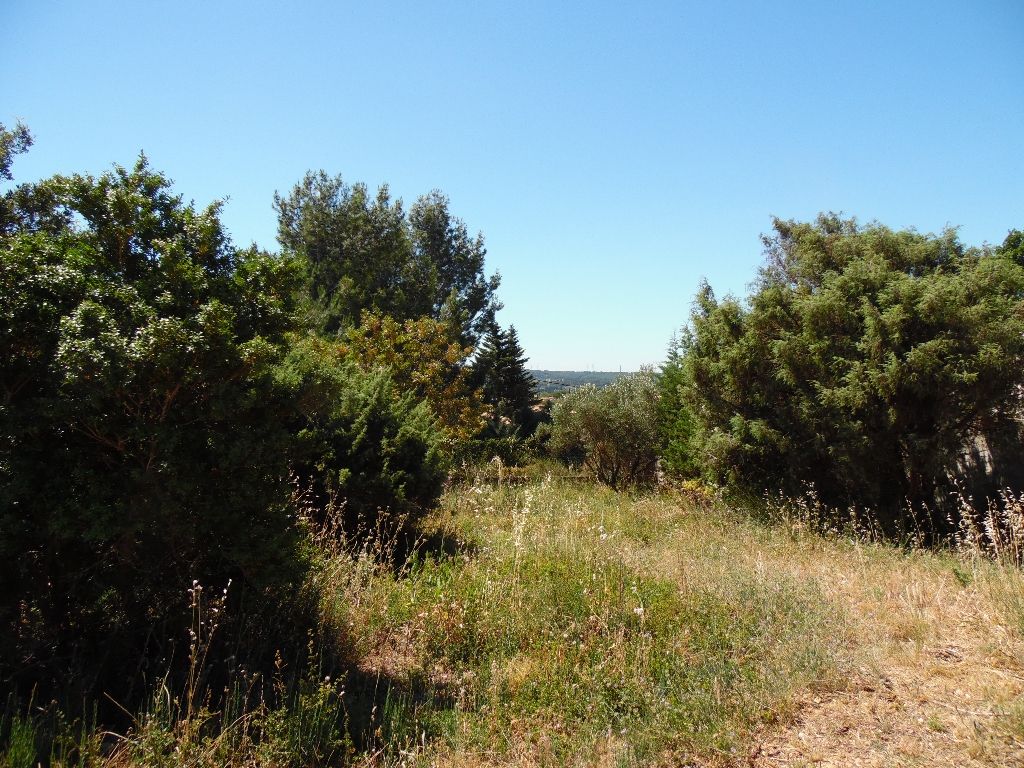 Terrain MAGNIFIQUE Rochefort Du Gard 1600 m2