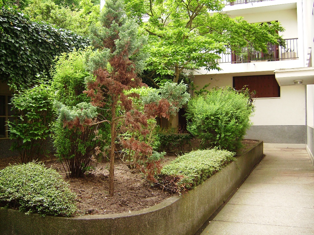 VILLE D'AVRAY - Rue de Marnes